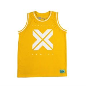 2017 electric family jersey